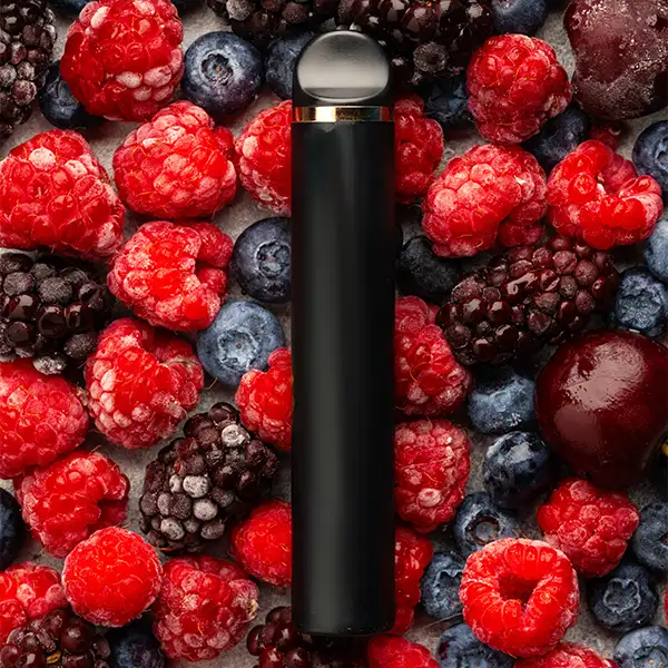 16k JNR mûre framboise